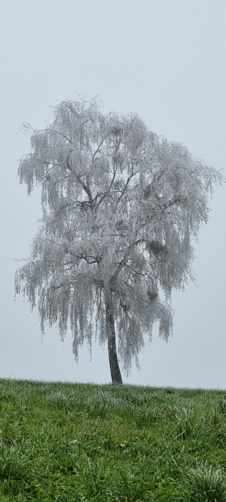 Ferienwohnungen Klimbacher 沃尔夫斯堡 外观 照片