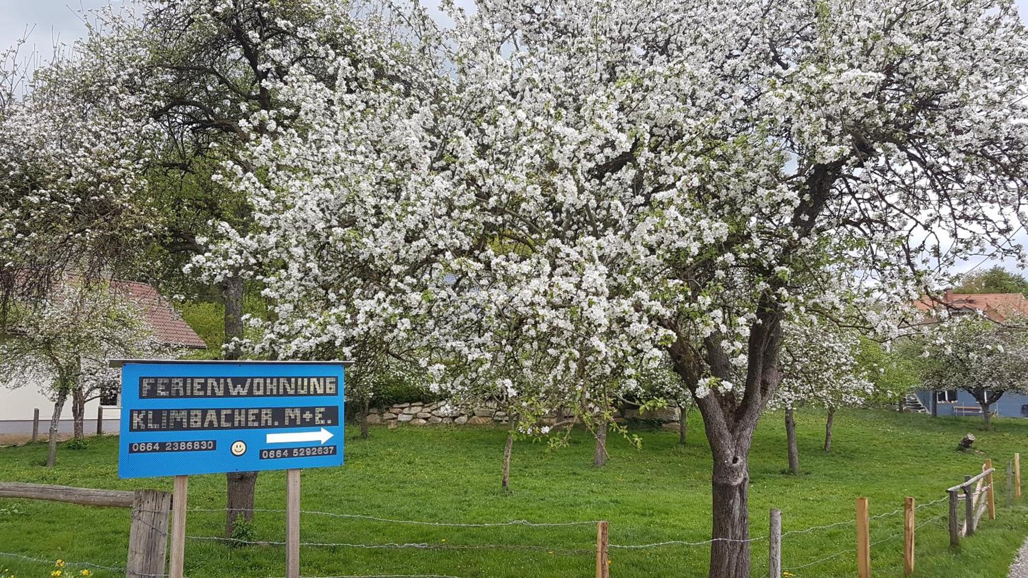 Ferienwohnungen Klimbacher 沃尔夫斯堡 客房 照片